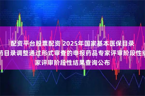配资平台股票配资 2025年国家基本医保目录及商保创新药目录调整通过形式审查的申报药品专家评审阶段性结果查询公布