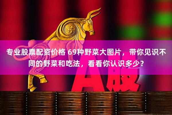 专业股票配资价格 69种野菜大图片，带你见识不同的野菜和吃法，看看你认识多少？