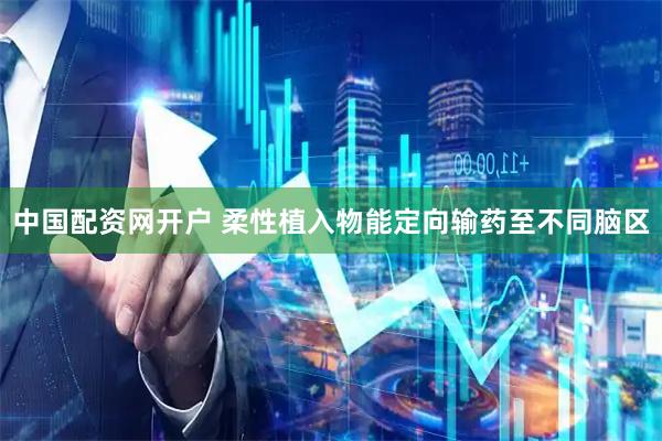 中国配资网开户 柔性植入物能定向输药至不同脑区