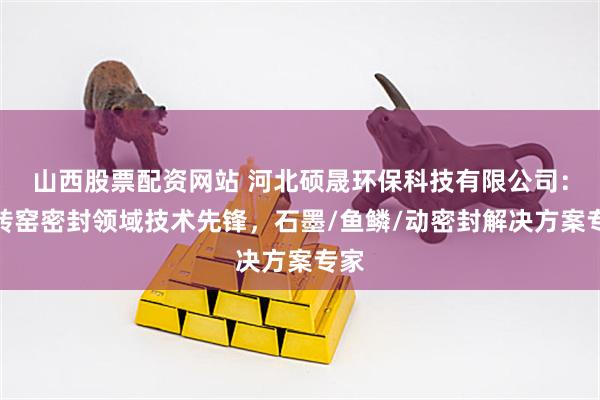 山西股票配资网站 河北硕晟环保科技有限公司：回转窑密封领域技术先锋，石墨/鱼鳞/动密封解决方案专家