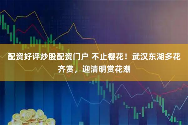 配资好评炒股配资门户 不止樱花！武汉东湖多花齐赏，迎清明赏花潮
